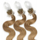 Extensions n 14 (GOLDEN BLONDE) 100% natural hair LOOP 48 cm