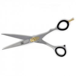 Professional Japanese hairdressing scissors