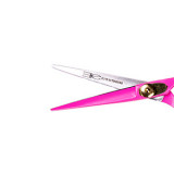 Professional hair scissors